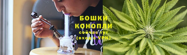 бошки Нягань
