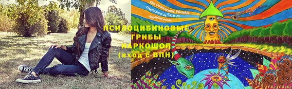 бошки Нягань