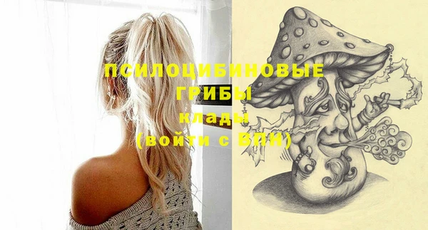 mdma Новозыбков