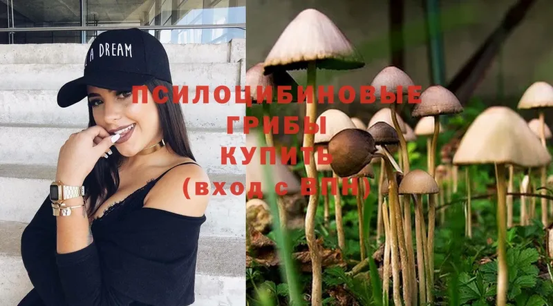 Псилоцибиновые грибы Magic Shrooms  Кинешма 