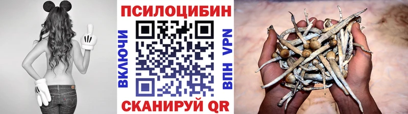 Галлюциногенные грибы прущие грибы  хочу наркоту  Кинешма 