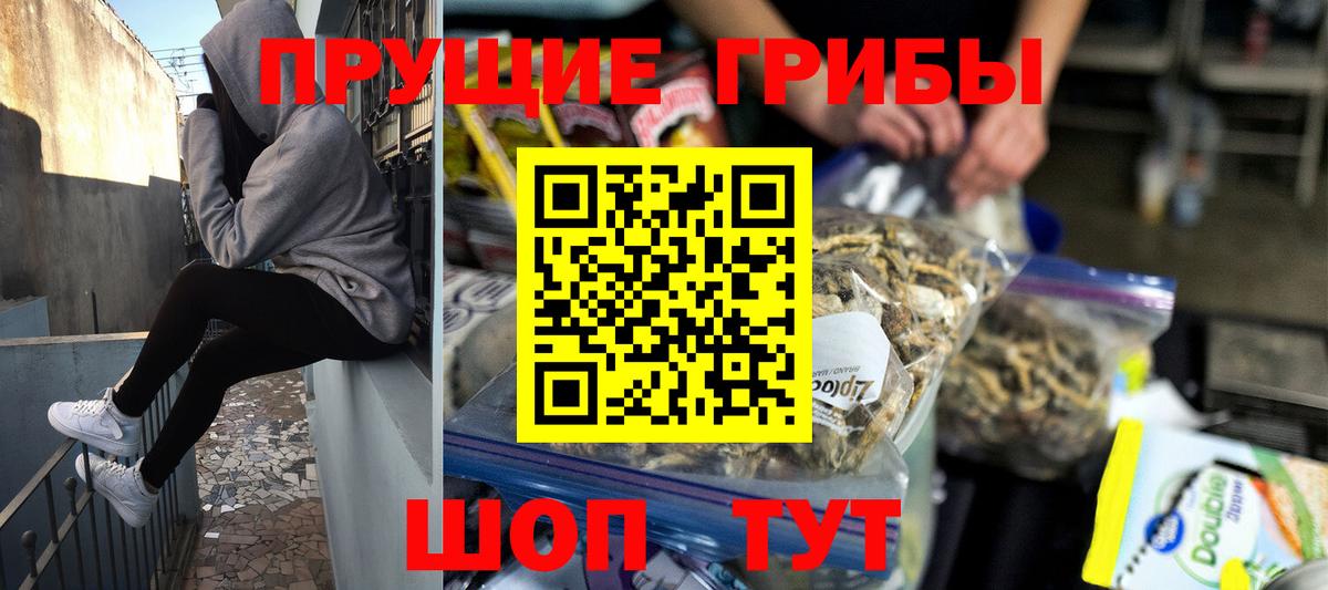 Кинешма  Галлюциногенные грибы Cubensis  Галлюциногенные грибы ЛСД  Вход с VPN 