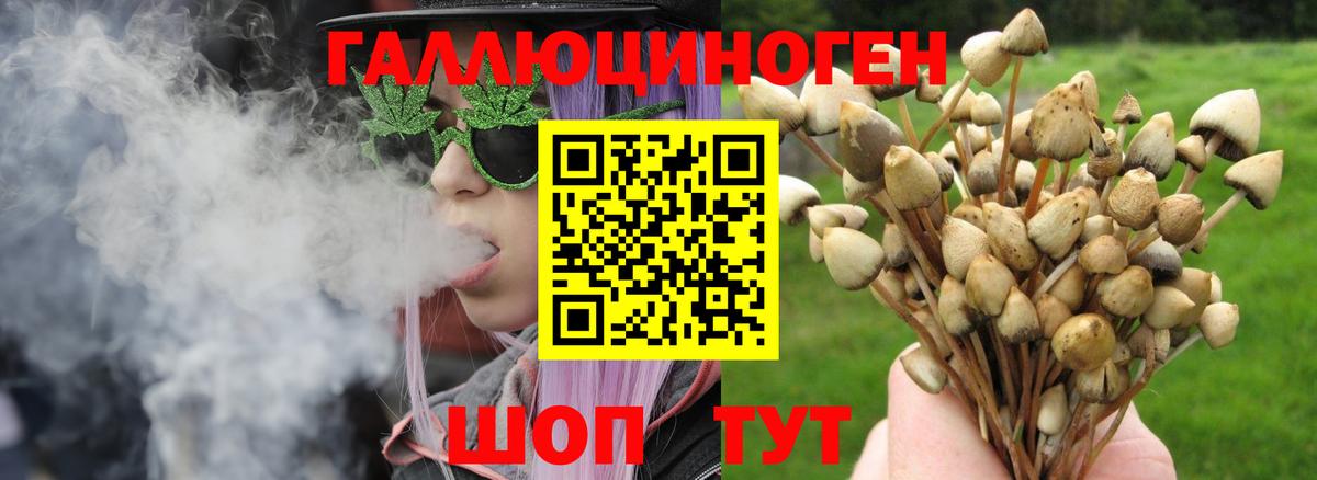 Галлюциногенные грибы MAGIC MUSHROOMS Кинешма